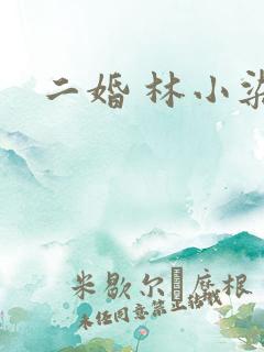 二婚 林小染