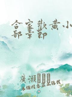 合家欢黄小梅全部章节
