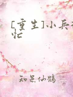 [重生]小兵很忙