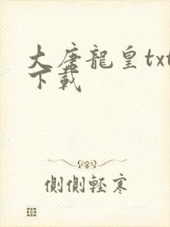 大唐龙皇txt下载