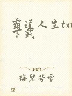 霸道人生txt下载