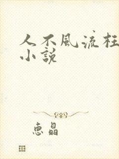 人不风流枉少年小说