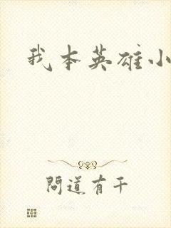 我本英雄小说