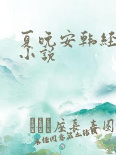 夏晚安韩经年的小说