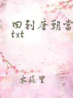 回到唐朝当皇帝txt