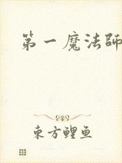 第一魔法师