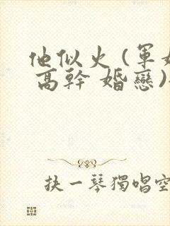 他似火 (军婚 高干 婚恋)全文在线阅读