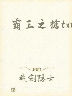霸王之枪txt