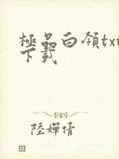 极品白领txt下载