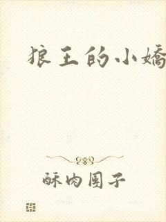 狼王的小娇妻