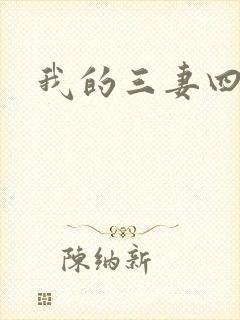 我的三妻四妾