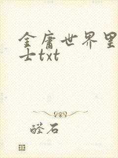 金庸世界里的道士txt
