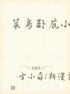 菜鸟卧底小正太