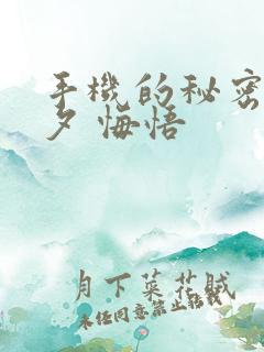 手机的秘密 七夕 悔悟