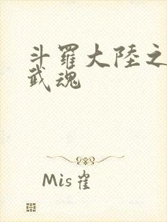 斗罗大陆之三生武魂