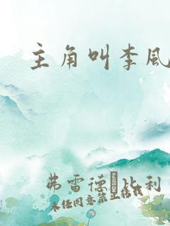主角叫李风起