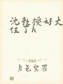 沈教授好大含不住了h