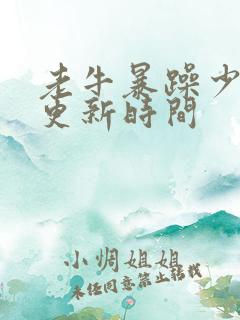 老牛暴躁少女的更新时间