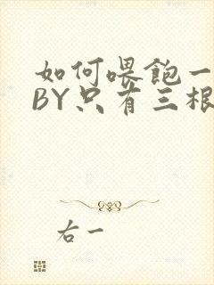 如何喂饱一只猫BY只有三根头发