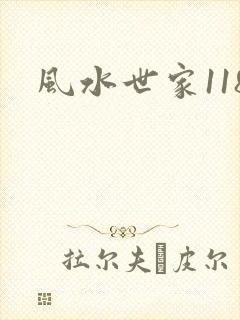 风水世家118