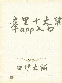 夜里十大禁用软件app入口