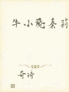 牛小飞秦莉莉