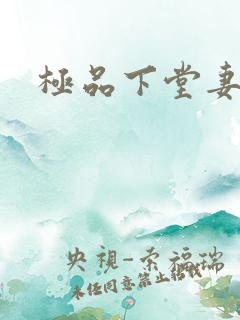 极品下堂妻
