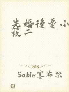 先婚后爱小说梦筱二