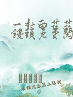 一对白花花的大馒头免费阅读