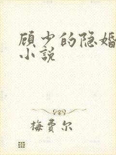 顾少的隐婚罪妻小说