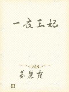 一夜王妃