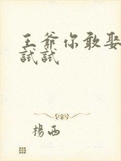 王爷你敢娶小三试试