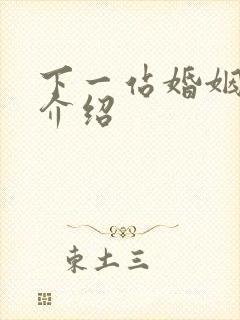 下一站婚姻剧情介绍