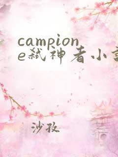 campione弑神者小说