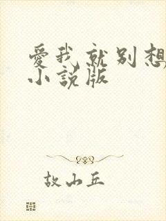 爱我就别想太多小说版