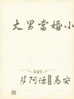 大男当婚小说