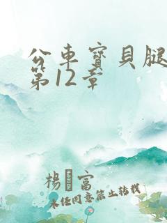 公车宝贝腿开点第12章