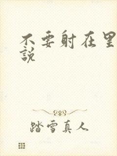 不要射在里面小说