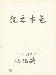 龙之本色