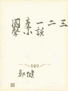 国产一二三区有声小说