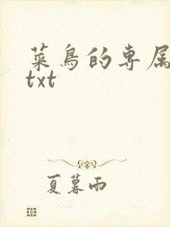 菜鸟的专属大神txt