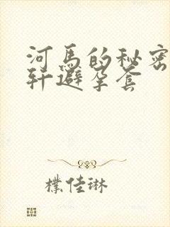 河马的秘密河文轩避孕套