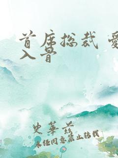 首席总裁 爱你入骨
