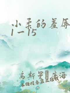 小柔的羞辱日记1一15