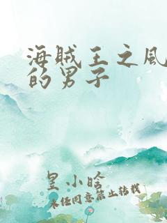 海贼王之风一样的男子