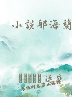 小说那海兰珠
