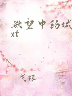 欲望中的城市txt