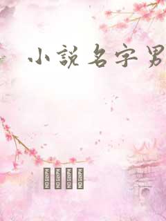 小说名字男生