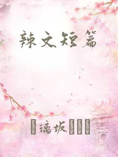 辣文短篇