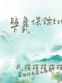 贴身保镖txt下载